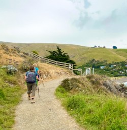 3. Guests walk around bay Godley Head