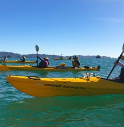 Coromandel Cathedral Cove Kayaking