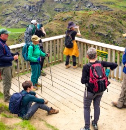 3. Diamond Lake lookout whole group