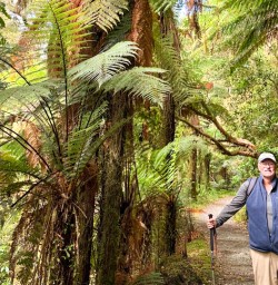 3. Exploring the Milford Track with New Zealand Trails