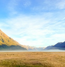 3. Fiordland landscape morning mist