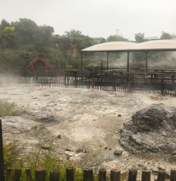 3. Geothermal Village Whakarewarewa