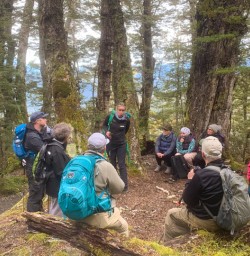 3. Group in beech forest Milford Track