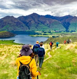 3. Group walking Lake Wanaka views