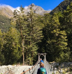 3. Guests crossing bridge Routeburn Track