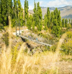 3. Guests crossing swingbridge Arrowtown to Gibbston
