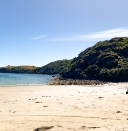 3. Guests on Stewart Island Beach