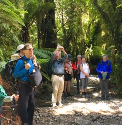 3. Guide and guests explore Martins Bay and Hollyford Valley