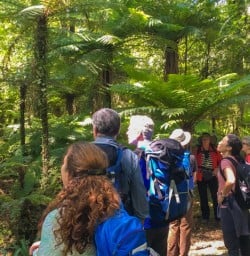 3. Hollyford Guide sharing local knowledge