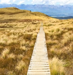 3. Kepler Track boardwalk