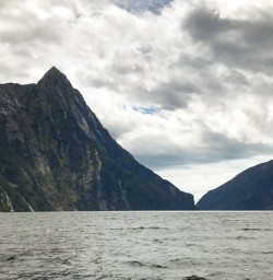 3. Milford Sound cruise views