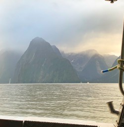 3. Milford Sound from the boat