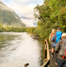 3. Milford Track start