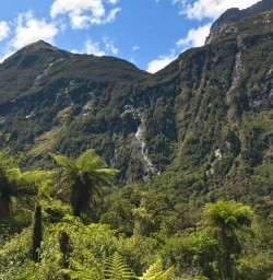 3. Milford Track views