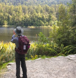 3. Okarito Lagoon views