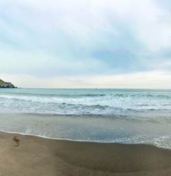 3. Pano at Godley Head
