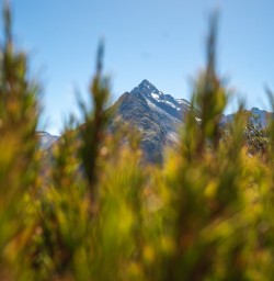 3. Peak views through the bushes