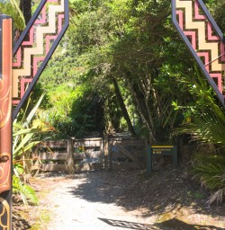 3. Pororari River Track Start
