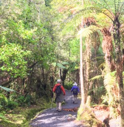 3. Pororari River Track guests on trail