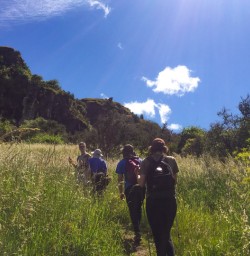 3. Rocky Mountain Trail sunny