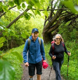 3. Rocky Mountain trail lush greenery