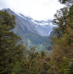 3. Routeburn views