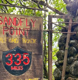 3. Sandfly Point