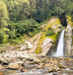 3. Solo guest and waterfall on Milford Track