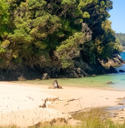 3. StewartUlva Island Beach