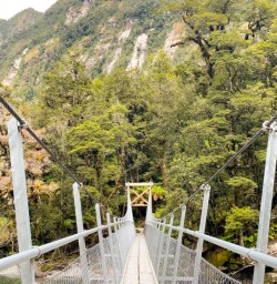 3. Swing bridge on Milford Track Great Walks