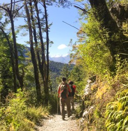 3. Two guests Routeburn Track