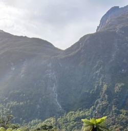 3. Views from the Milford Track