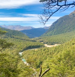 Views from the Routeburn Track