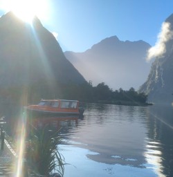 3. Water taxi to Milford Track