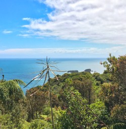 3. West Coast coastal views
