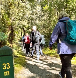 Hiking Milford South Island