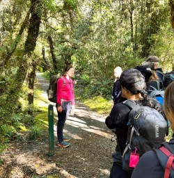 Milford track south island