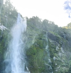 Milford sound waterfall