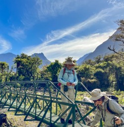 3. Guests on Milford Track bridge crossing great landscape