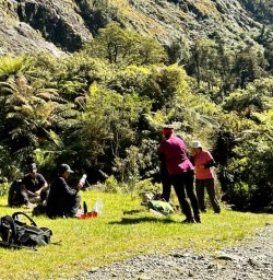 Milford track hiking