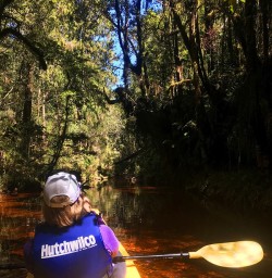 Guided Kayaking Tour at Okarito Lagoon