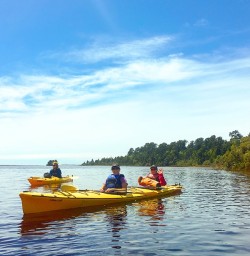Guided Kayaking Tour at Okarito Lagoon