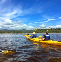 Guided Kayaking Tour at Okarito Lagoon