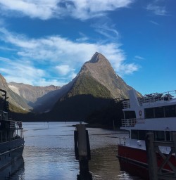 Mitre Peak at Milford Sound, Fiordland New Zealand