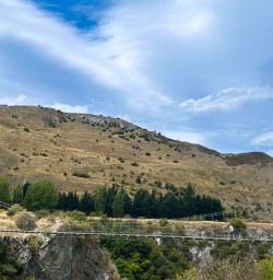 Cycling adventure tours New Zealand Trails