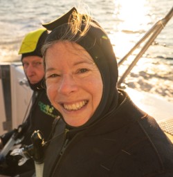 4 Dolphin swim Anne Canzonetti2