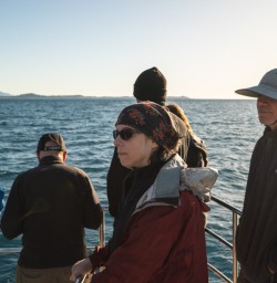 4 Dolphin watch2