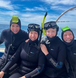 Dolphins in Kaikoura 18 November 2024 3