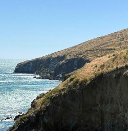 4 Explore Christchurch Godley Head 02 December 2024 1