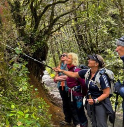 Explore Tongariro National Park 22 11 24 2